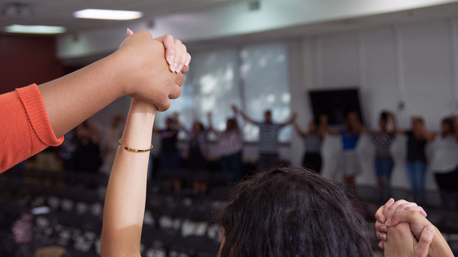 Hands joined at Harambee! Celebration in 2018