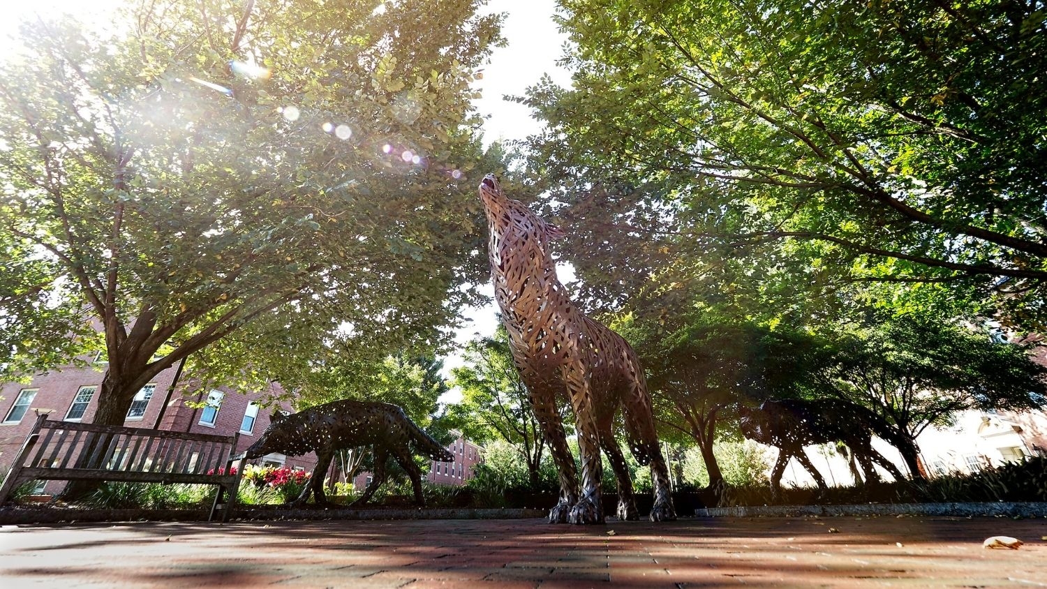 Meet the College of Natural Resources’ 2020-2021 Global Change Fellows, College of Natural Resources, Wolf Plaza, feature
